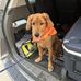 Gary Groth - Facebook