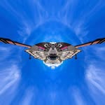 Gary Guest - @gary.guest.37 - Instagram