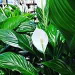 Gary Guilfoyle - @guilfoylegary - Instagram
