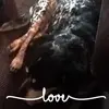 garyguinn528 - @garyguinn528 - TikTok