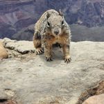 Gary Gunnels - @gunnelsgary - Instagram