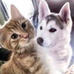 Gunner & Gary - @gunnerandgary - Instagram