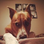 Gary Gustin - @1214crowns - Instagram