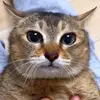 gary - @gary.mon - TikTok