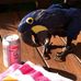 Gary Heckler - Facebook
