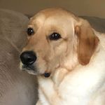 Gary Sherry Hackworth - @sherry.hackworth.31 - Instagram