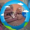 Garry Hadland - @garry.hadland - TikTok