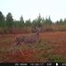 Gary Hambrick - Facebook