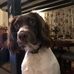 Gary Hann - Facebook
