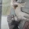 Gary Hare - @gary.hare8 - TikTok