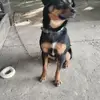 Gary Harmon - @gary.harmon16 - TikTok