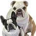 Gary Harms - Facebook