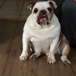 Gary Harms - @harms783 - Instagram