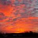 Gary Harrigan - Facebook