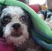 Harter Gary - Facebook