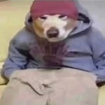 Gary Hartzell - @fuzzypanda437 - Instagram