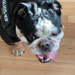 Gary Hash - @garybh5499 - Instagram