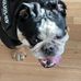 Gary Hash - Facebook