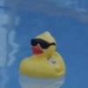 Gardy - @gardyhatch - TikTok