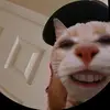 CreamOfYheat - @wholegrainyheat - TikTok