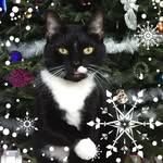Gary-Cheryl Heikkila - @cherylh39 - Instagram