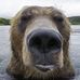 Kory Hanlon - Facebook