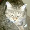 garyhelgeson365 - @garyhelgeson365 - TikTok