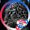 Gary Scott Hettinger - @gary.scott.hettin - TikTok