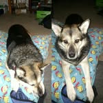 onehalfmoon - @gary_hetzel - Instagram