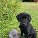 Gary Hirsch - Facebook