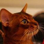 Gary Hoffman - @heruscrystal - Instagram