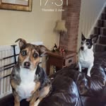 Gary Hogg - @hogg4043 - Instagram