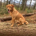 Gary Hogg - @gary8841 - Instagram