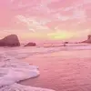 Gary Hogg - @garyhogg4 - TikTok