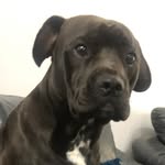 Gary Hogg - @hogg4699 - Instagram