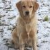 Gary Hoke - Facebook