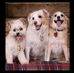 Gary Hoke - Facebook
