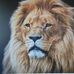 Gary Holcombe - Facebook