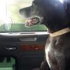 garyholder702 - @garyholder702 - TikTok