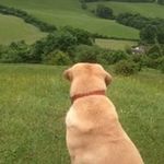 Gary John Hollywell - @garyhollywell - Instagram