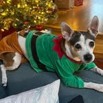 Gary Holmquist - @mauigary - Instagram