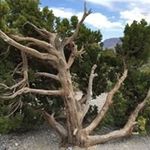 Gary Thomas Holsinger - @tom_holsinger - Instagram