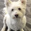 Gary Hoke - @gary.hoke0 - TikTok