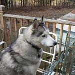 Gary Holzbacher - @garyholzbacher - Instagram