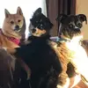 garyndebloeffelho - @garyndebloeffelholz - TikTok