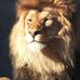 Gary Honore - Facebook