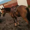 Gary Hook - @gary_hook - TikTok