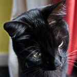 Gary Hook - @garyhook2 - Instagram