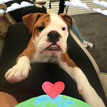 Gary Hooks Self - @hooksself - Instagram