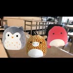 Gary, Hoot, and Veronica - @garyhootveronica - Instagram